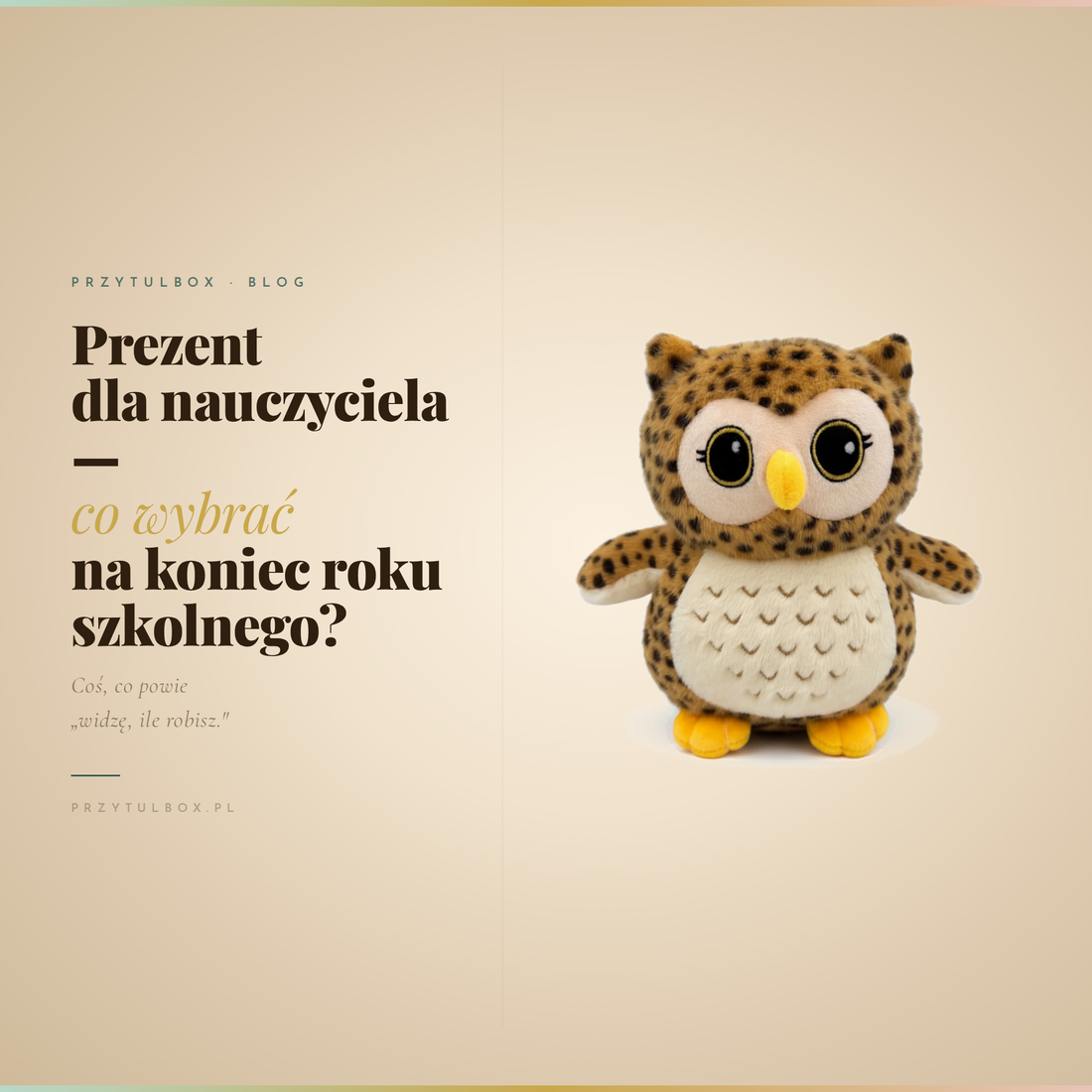 Prezent dla nauczyciela – co wybrać na koniec roku szkolnego?