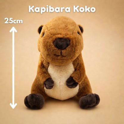 Pluszowa kapibara Koko PrzytulBox – miękki pluszak bohatera akceptacji z kolekcji emocji
