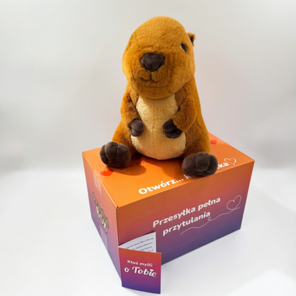 Kapibara Koko PrzytulBox – pluszowa kapibara w pudełku prezentowym z kartą bohatera