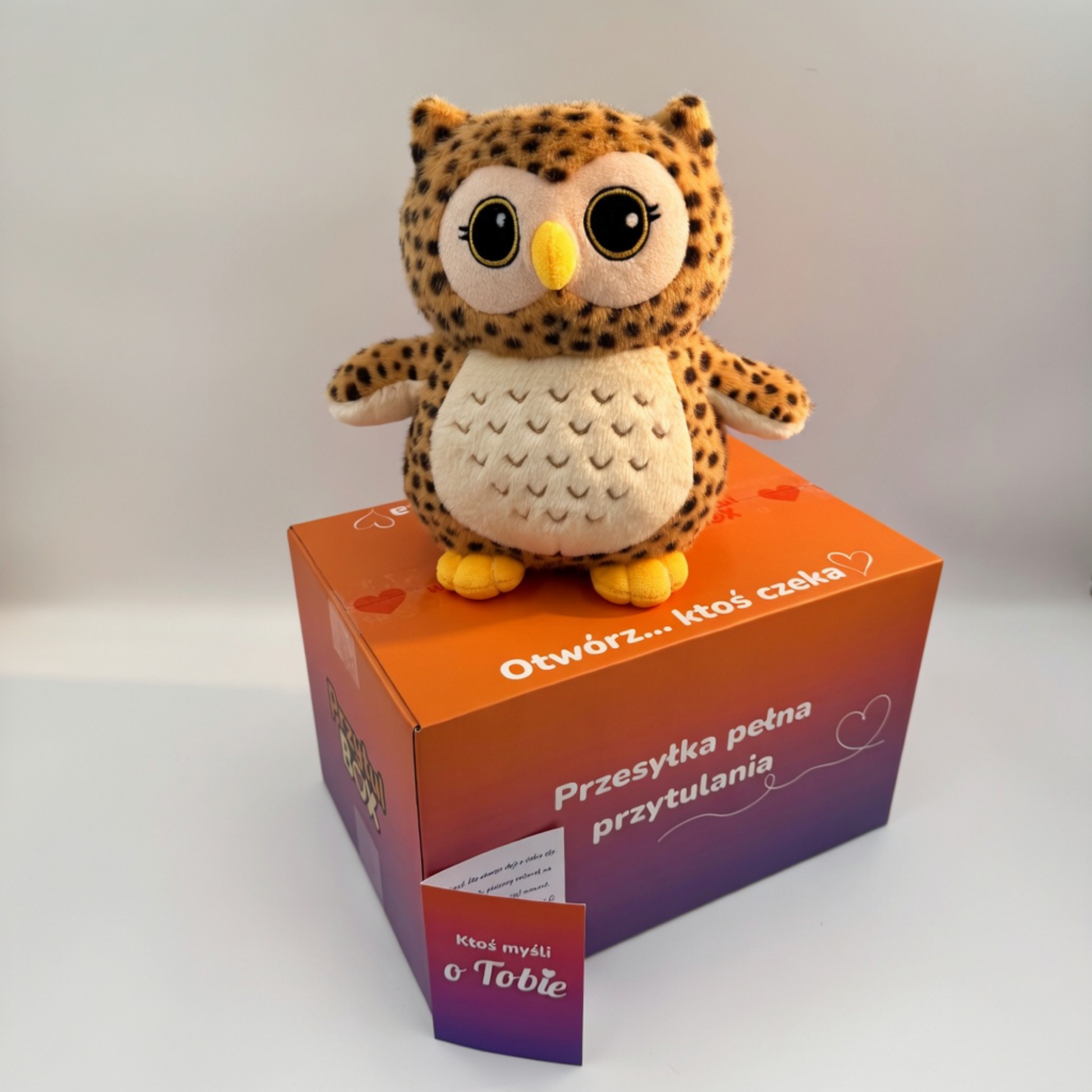 Pluszowa sowa Melodia w pudełku prezentowym PrzytulBox – strażniczka obecności z kartą bohatera